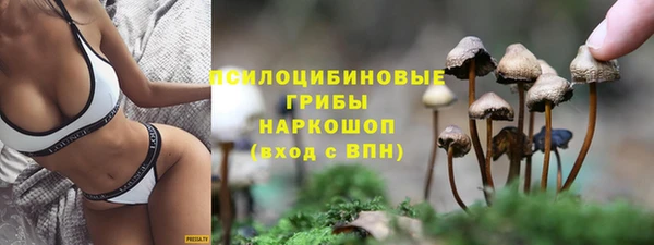 mix Бородино