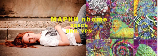 индика Бугульма