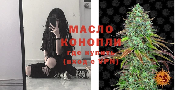 индика Бугульма
