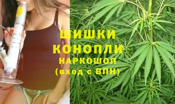 mix Бородино